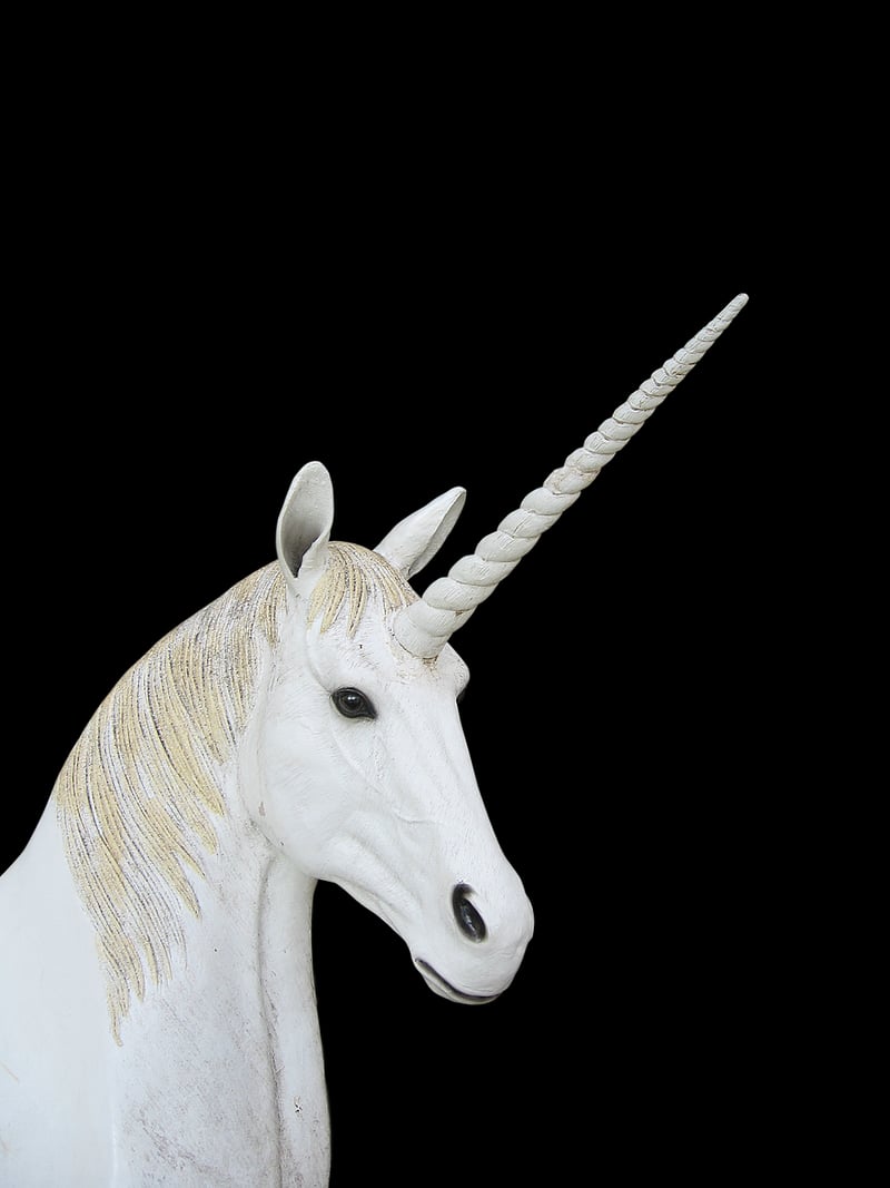 Fantasy Dragon Trinket